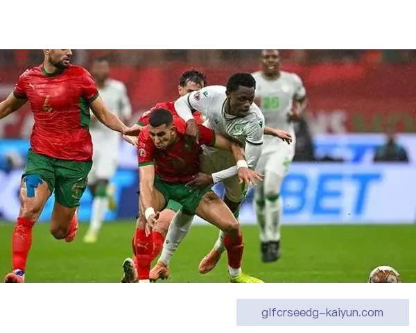 非洲杯争议判罚引发热议，分析各方观点与影响走势